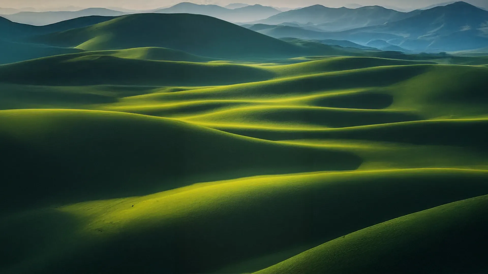 Insights, Impact & Inspiration